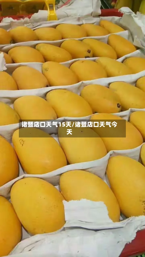 诸暨店口天气15天/诸暨店口天气今天