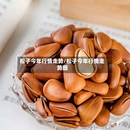 松子今年行情走势/松子今年行情走势图