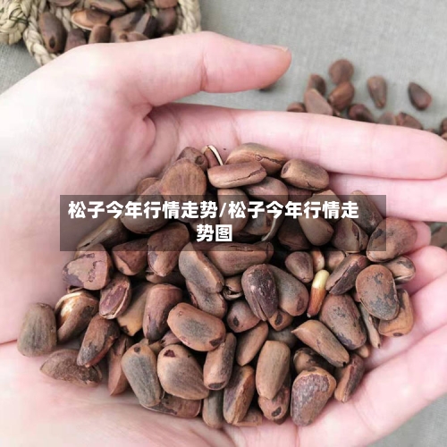 松子今年行情走势/松子今年行情走势图