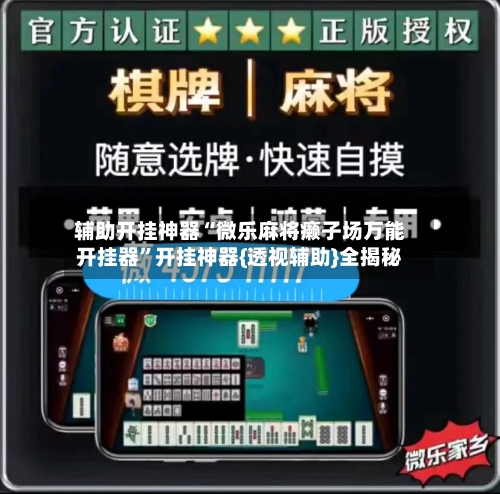 辅助开挂神器“微乐麻将癞子场万能开挂器”开挂神器{透视辅助}全揭秘