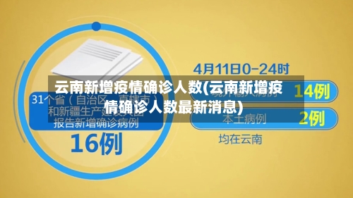 云南新增疫情确诊人数(云南新增疫情确诊人数最新消息)