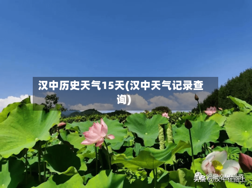 汉中历史天气15天(汉中天气记录查询)