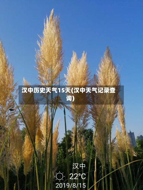 汉中历史天气15天(汉中天气记录查询)