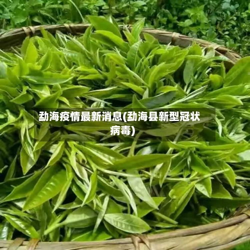 勐海疫情最新消息(勐海县新型冠状病毒)