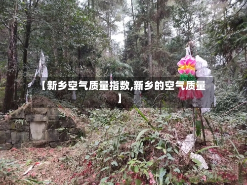 【新乡空气质量指数,新乡的空气质量】