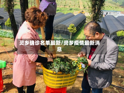 灵乡确诊名单最新/灵乡疫情最新消息