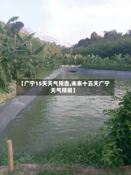 【广宁15天天气预告,未来十五天广宁天气预报】