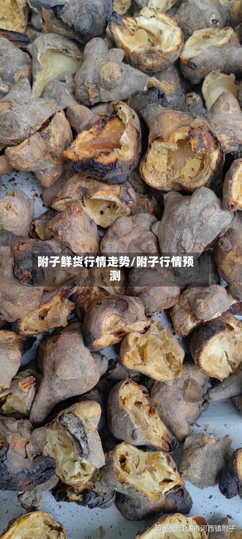 附子鲜货行情走势/附子行情预测