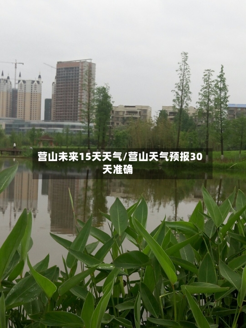 营山未来15天天气/营山天气预报30天准确