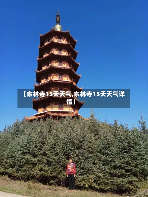 【东林寺15天天气,东林寺15天天气详情】