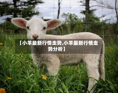 【小羊最新行情走势,小羊最新行情走势分析】