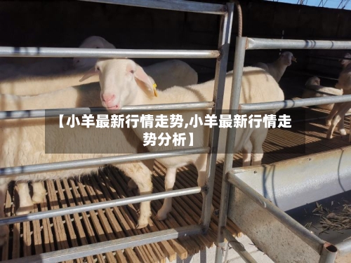 【小羊最新行情走势,小羊最新行情走势分析】