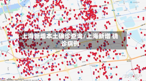 上海新增本土确诊查询/上海新增 确诊病例