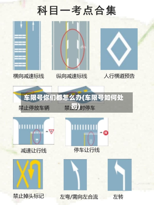 车限号你们都怎么办(车限号如何处罚)