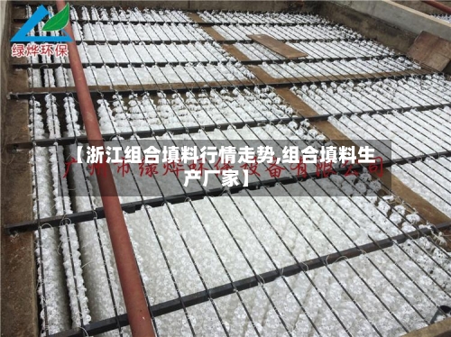 【浙江组合填料行情走势,组合填料生产厂家】