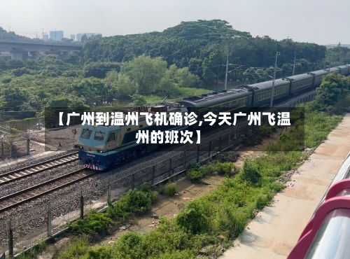 【广州到温州飞机确诊,今天广州飞温州的班次】