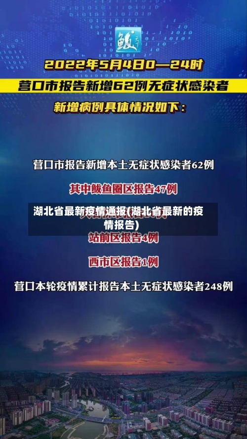 湖北省最新疫情通报(湖北省最新的疫情报告)