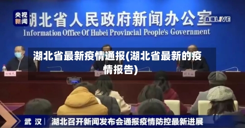 湖北省最新疫情通报(湖北省最新的疫情报告)