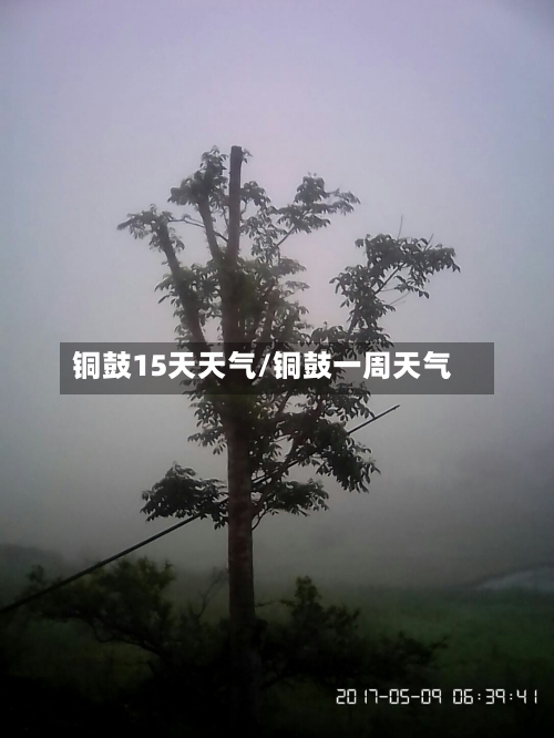 铜鼓15天天气/铜鼓一周天气