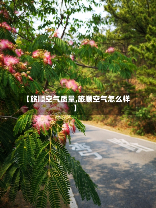 【旅顺空气质量,旅顺空气怎么样】