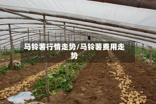 马铃薯行情走势/马铃薯费用走势