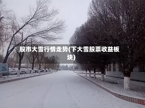股市大雪行情走势(下大雪股票收益板块)