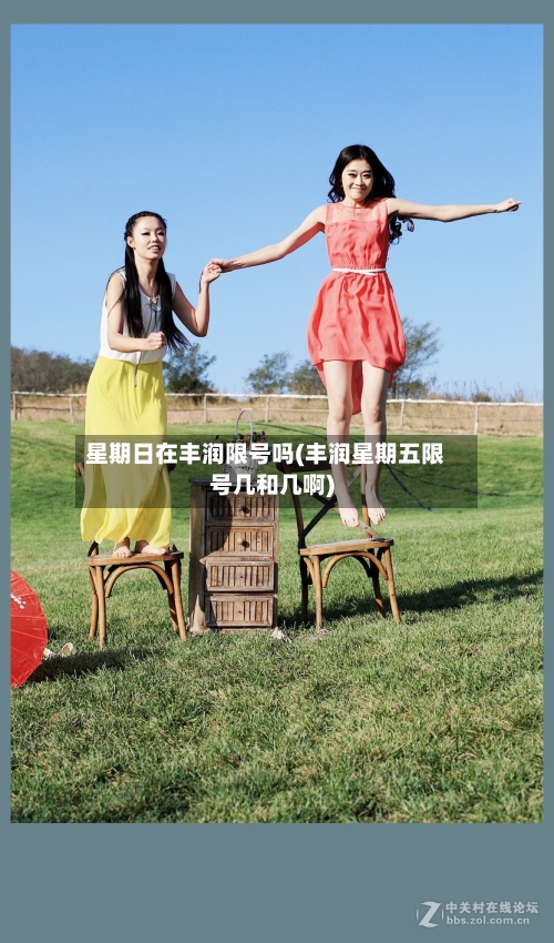 星期日在丰润限号吗(丰润星期五限号几和几啊)