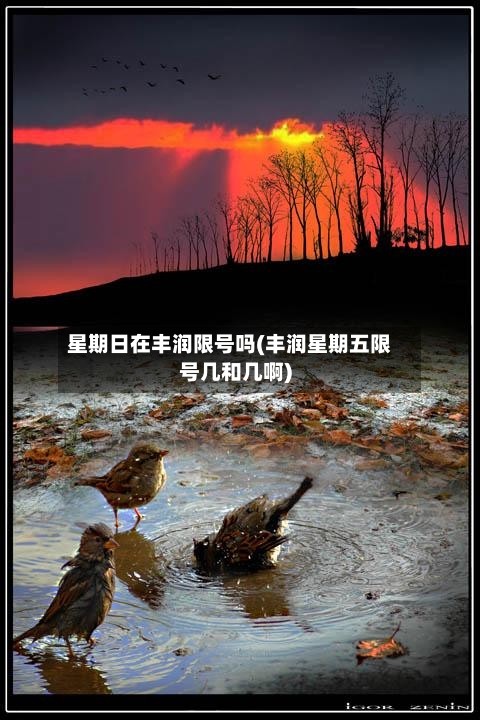 星期日在丰润限号吗(丰润星期五限号几和几啊)