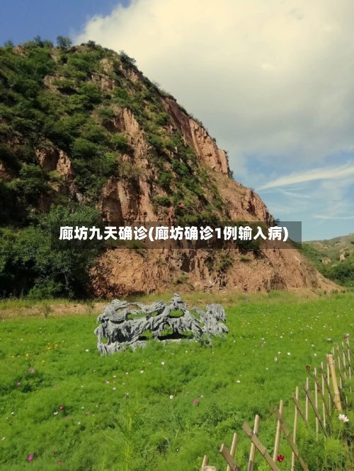 廊坊九天确诊(廊坊确诊1例输入病)