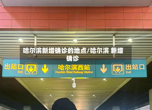 哈尔滨新增确诊的地点/哈尔滨 新增确诊