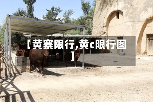 【黄寨限行,黄c限行图】