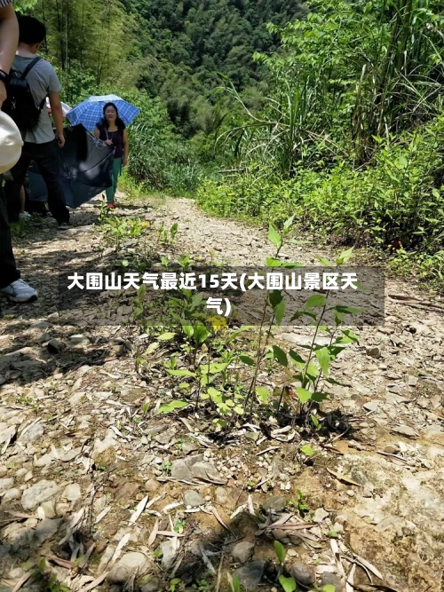 大围山天气最近15天(大围山景区天气)
