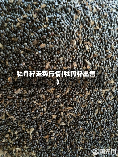 牡丹籽走势行情(牡丹籽出售)