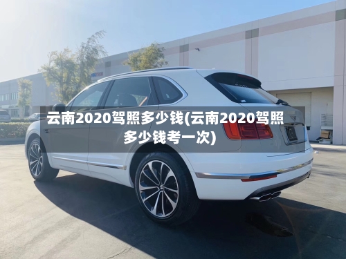云南2020驾照多少钱(云南2020驾照多少钱考一次)