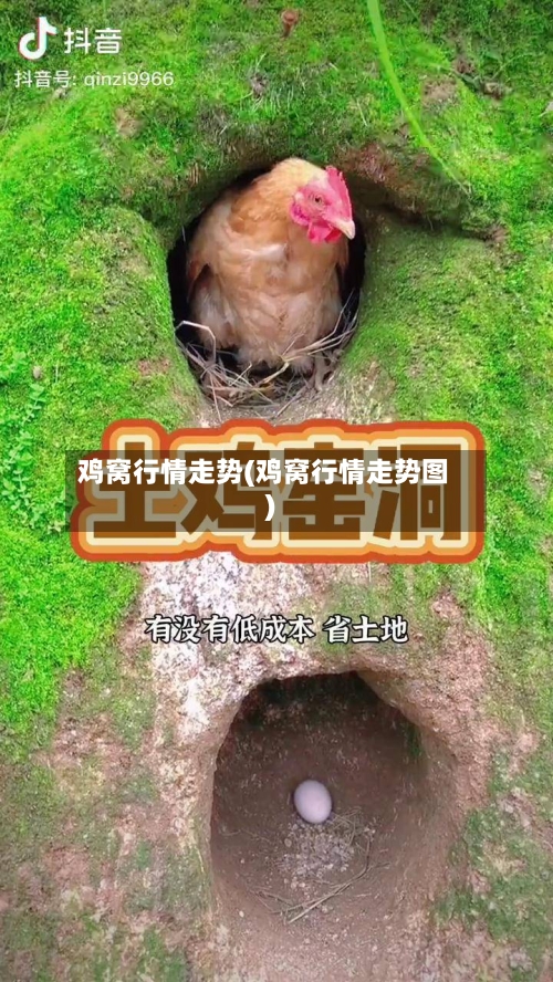 鸡窝行情走势(鸡窝行情走势图)