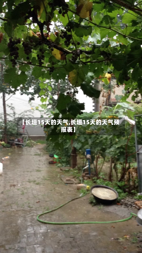 【长垣15天的天气,长垣15天的天气预报表】