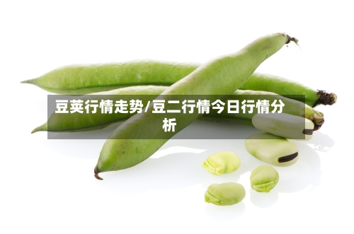 豆荚行情走势/豆二行情今日行情分析