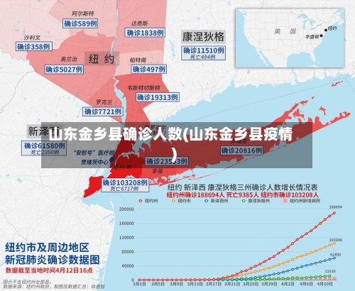 山东金乡县确诊人数(山东金乡县疫情)