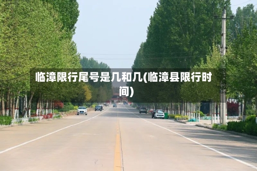 临漳限行尾号是几和几(临漳县限行时间)