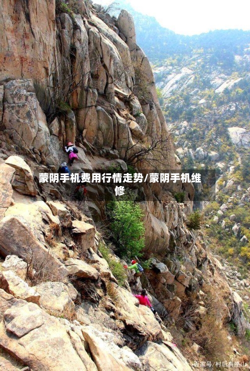 蒙阴手机费用行情走势/蒙阴手机维修