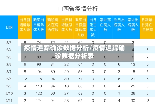 疫情追踪确诊数据分析/疫情追踪确诊数据分析表