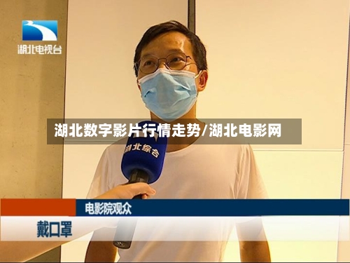 湖北数字影片行情走势/湖北电影网