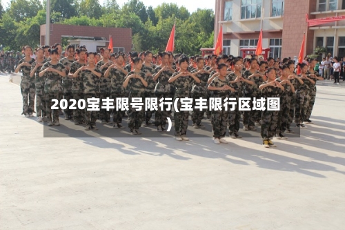 2020宝丰限号限行(宝丰限行区域图)