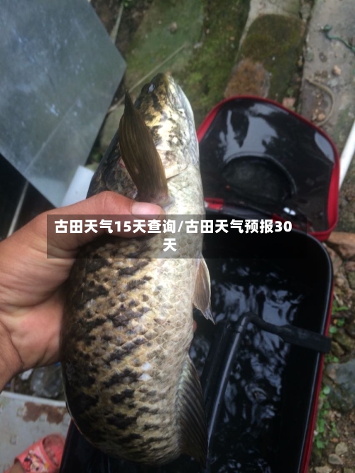 古田天气15天查询/古田天气预报30天