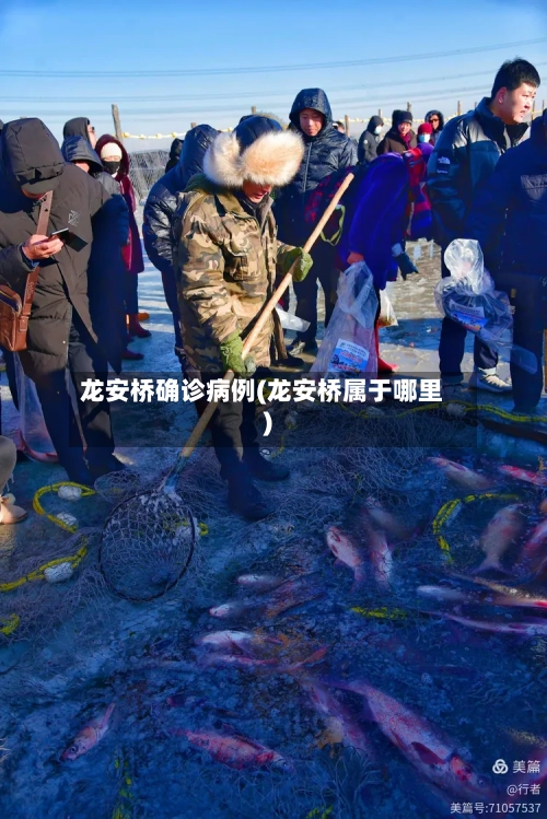 龙安桥确诊病例(龙安桥属于哪里)