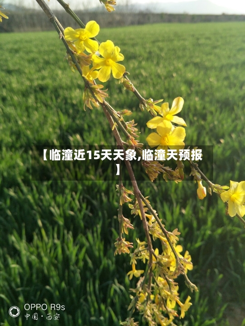 【临潼近15天天象,临潼天预报】