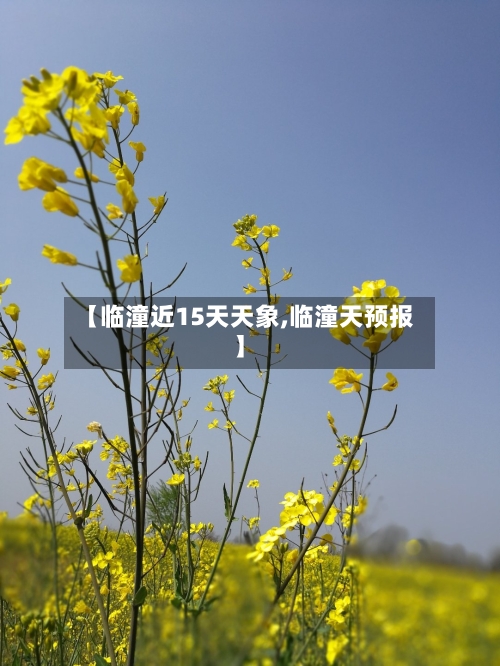 【临潼近15天天象,临潼天预报】