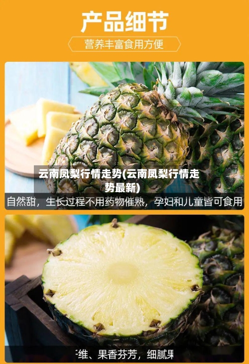 云南凤梨行情走势(云南凤梨行情走势最新)