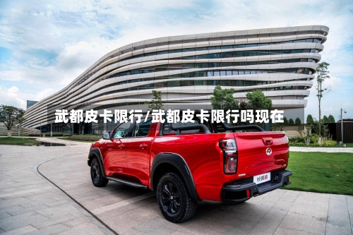 武都皮卡限行/武都皮卡限行吗现在