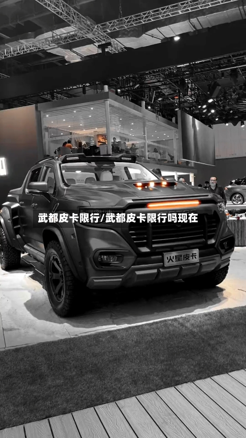 武都皮卡限行/武都皮卡限行吗现在